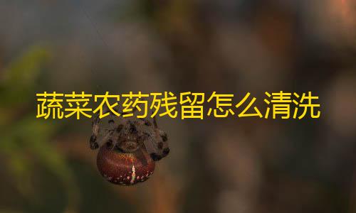 王牌竞速外挂工具蔬菜农药残留怎么清洗